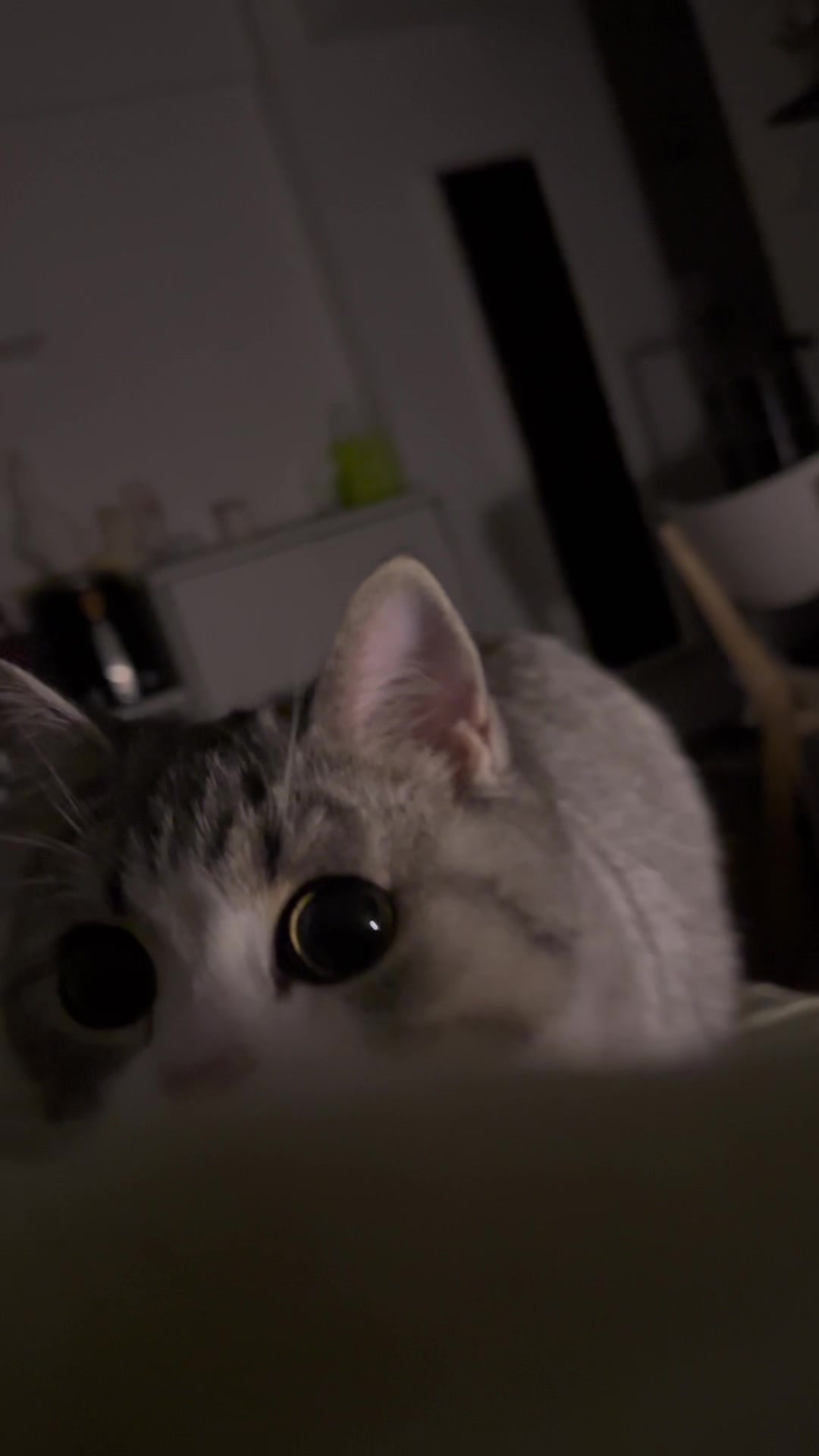 @Miki