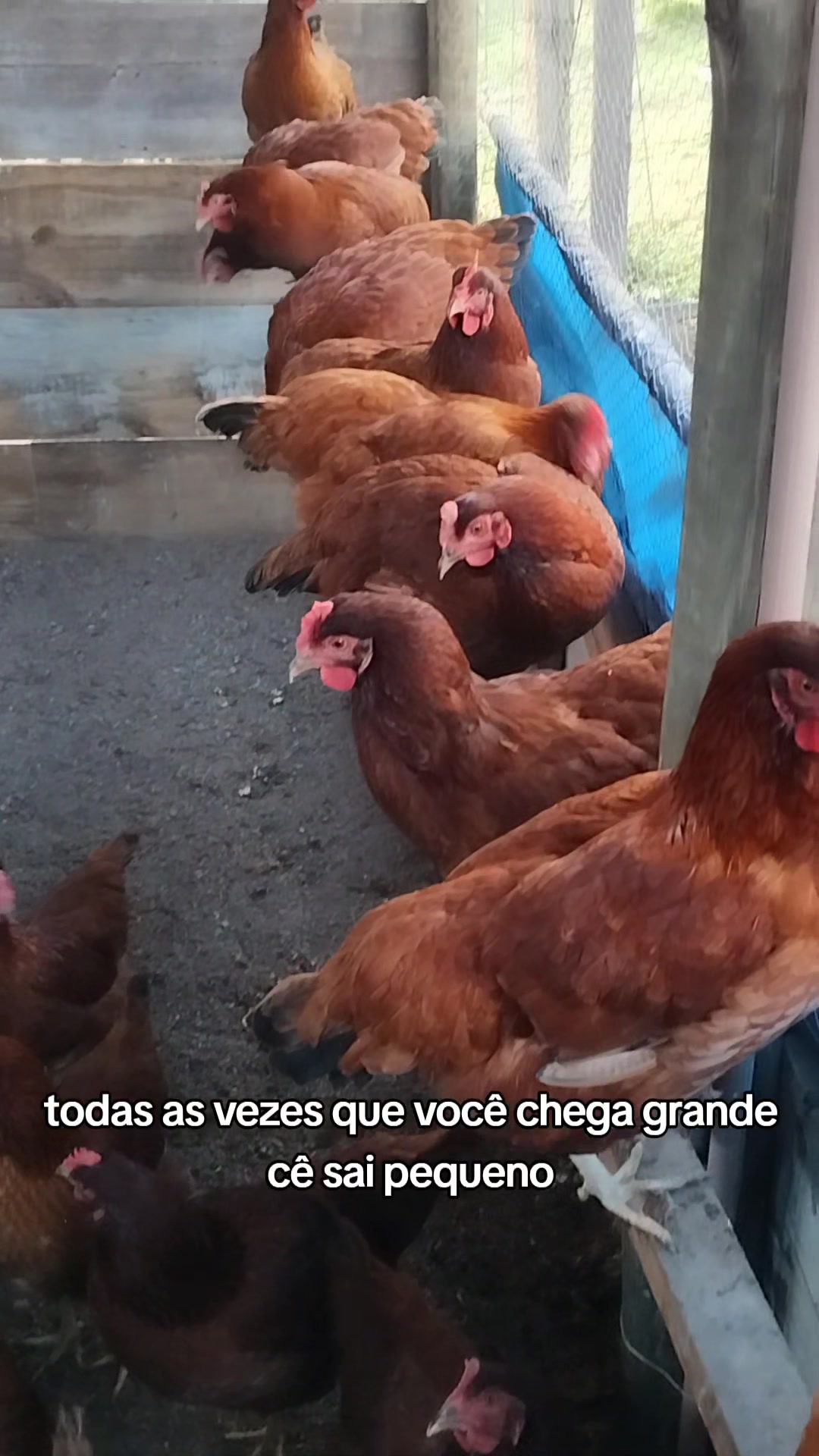 @Jonas Rodrigues