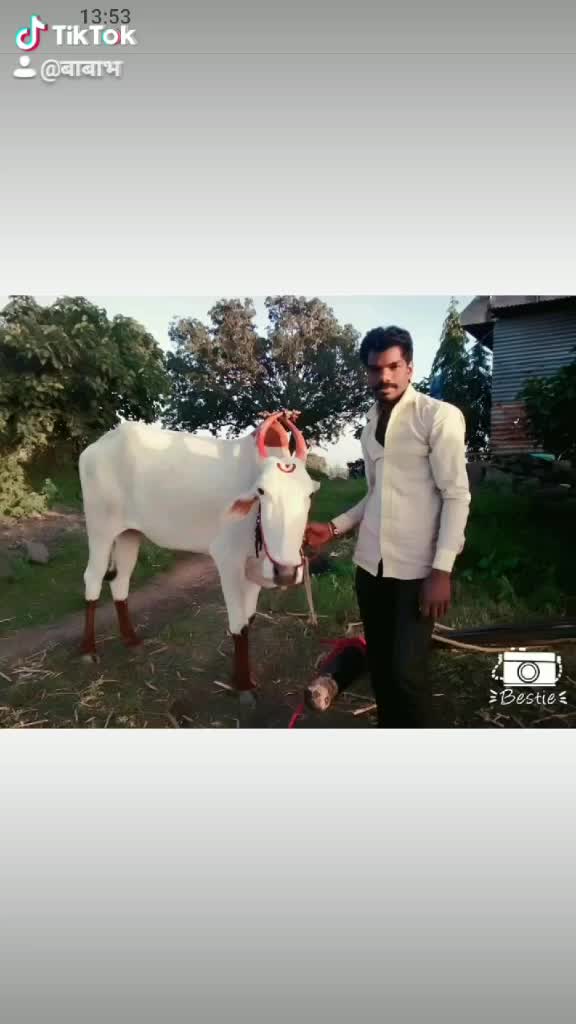 @बाबा भाई मित्र मंडळ