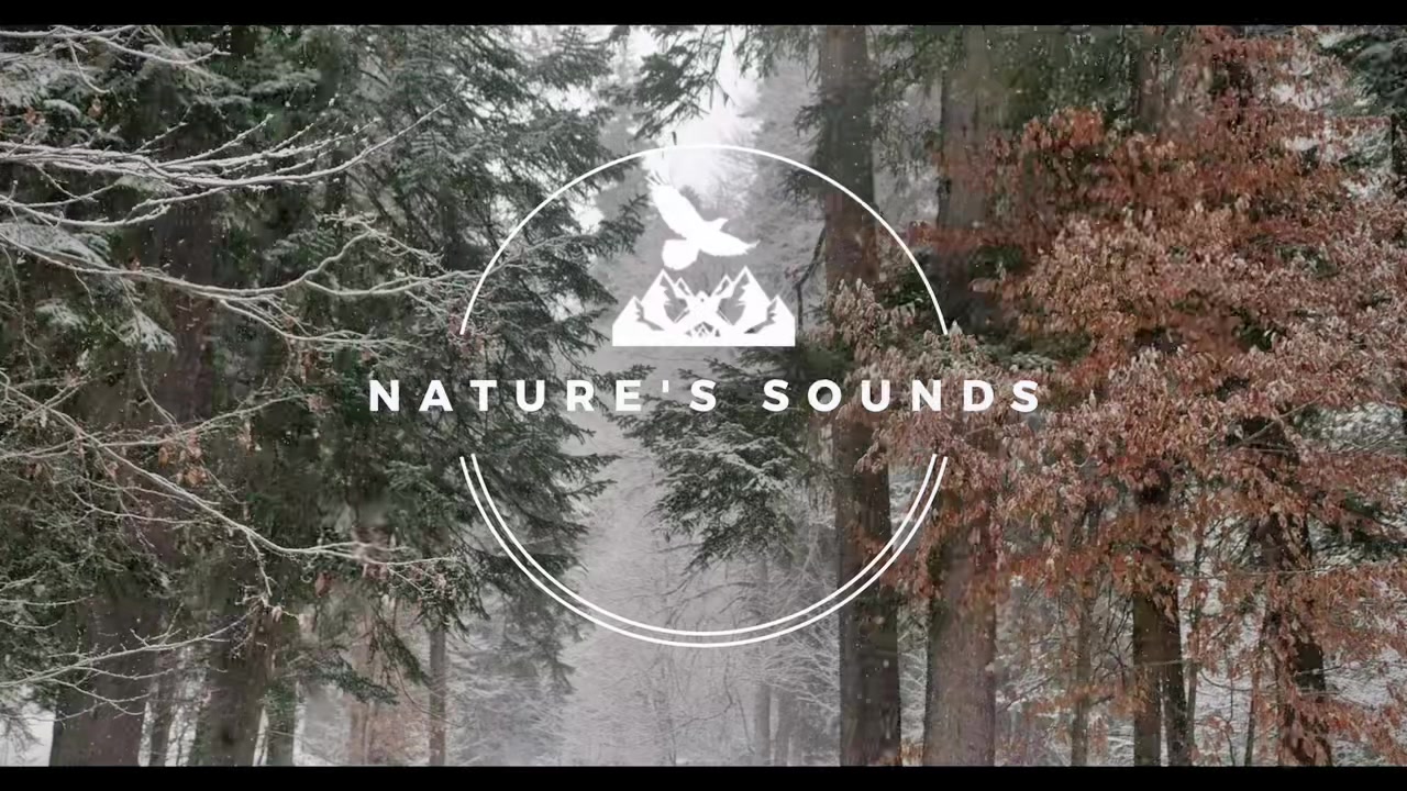@Nature&rsquo;s Sounds