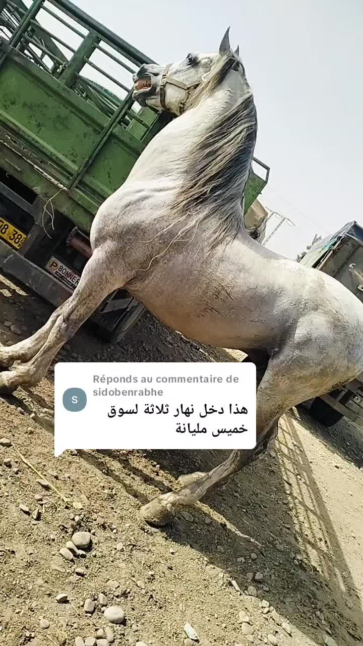 @حميد محمودي.