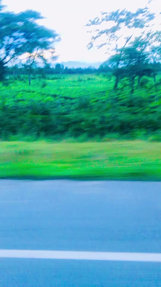@Dauchang Chiring