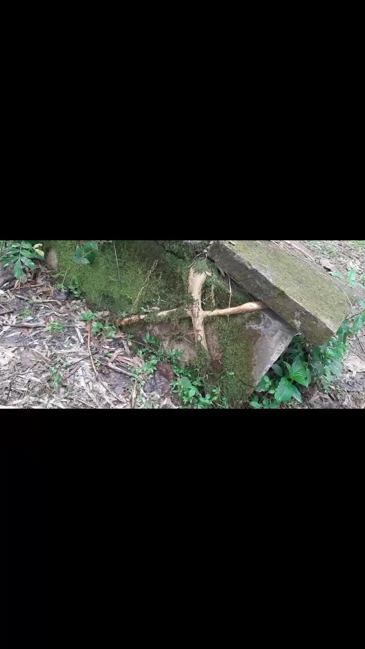 @ወርኮ ኤናቾ ኧጎናሦ ዘር