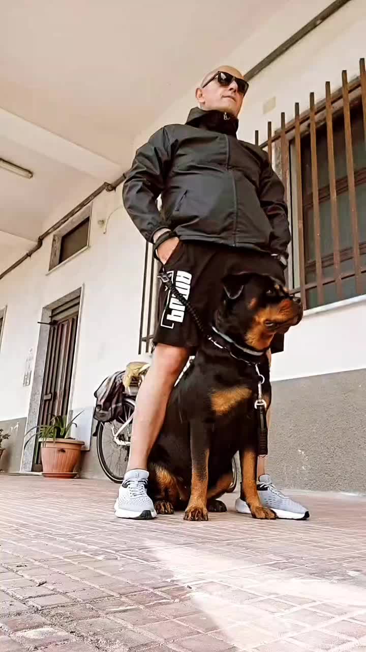 @nico72bal
