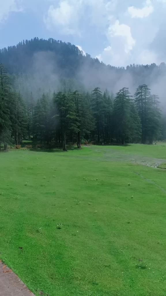 @Pammu Sharma