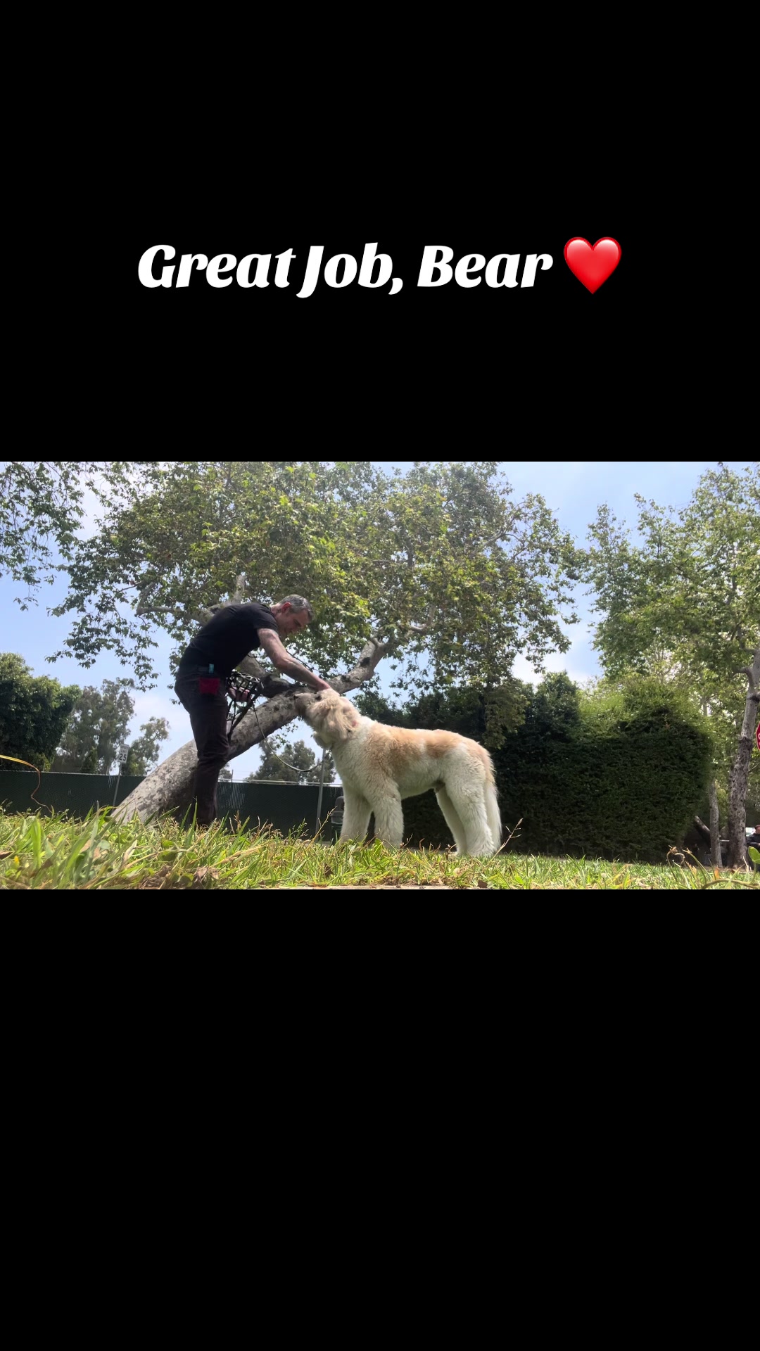 @Prestigious.Pooch