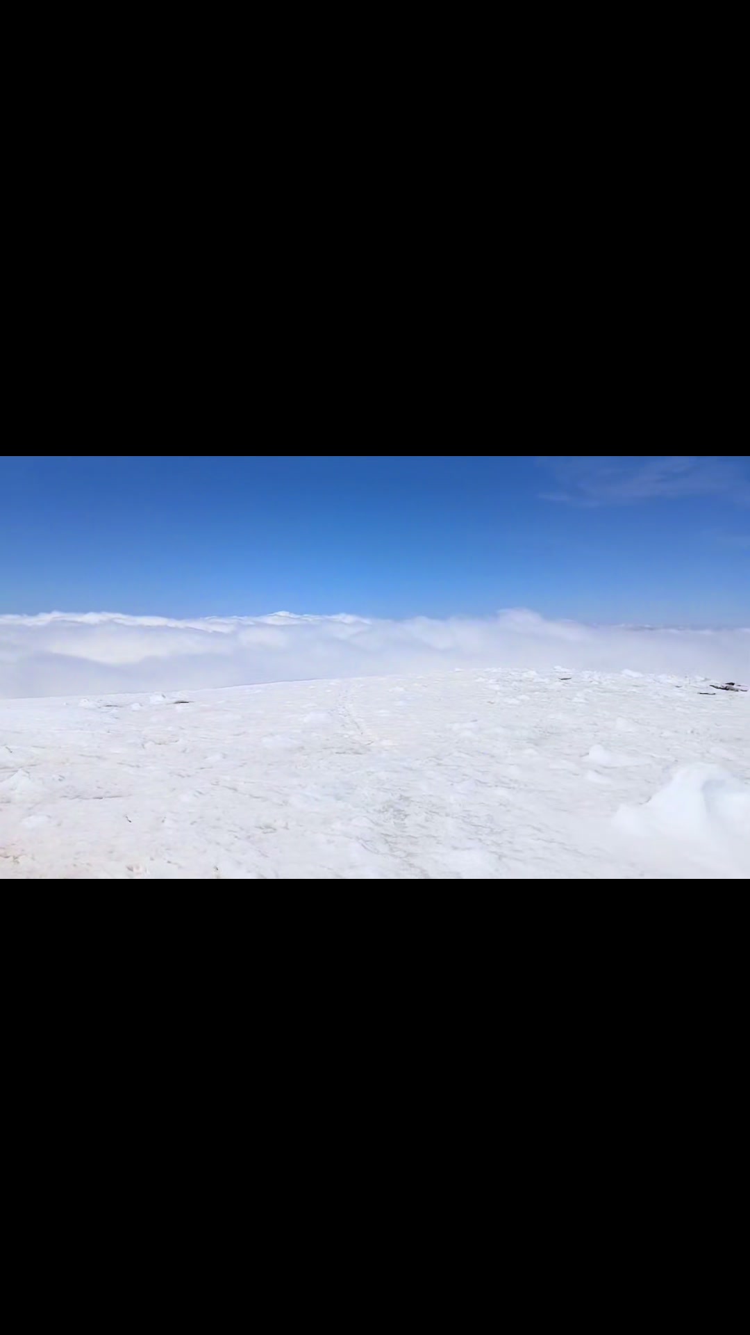 @Dario