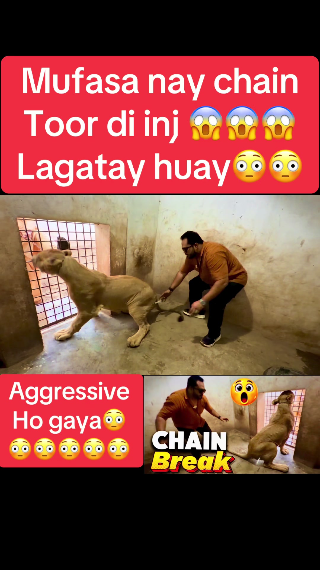 @Mian saqib