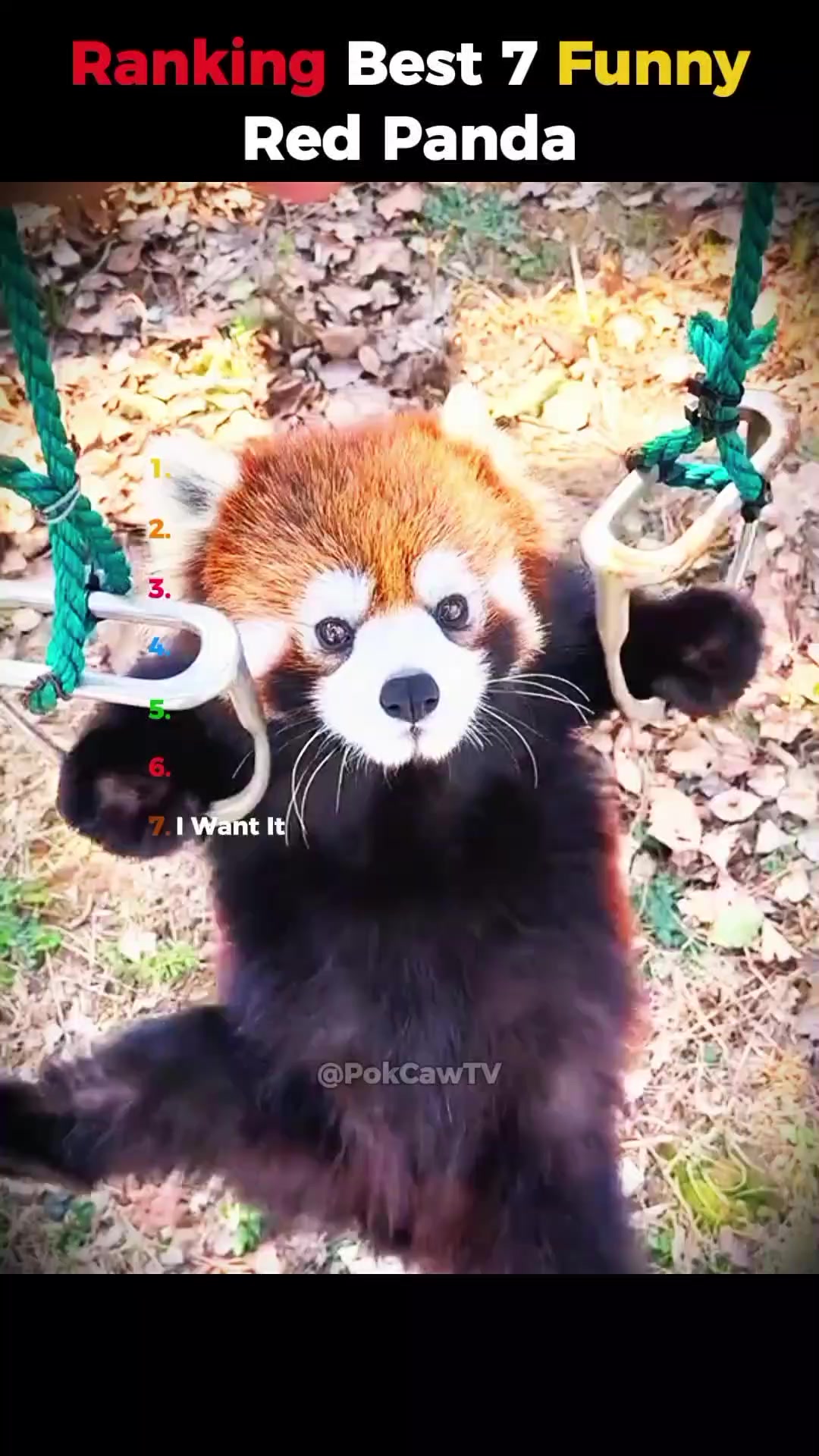 @pokcaw