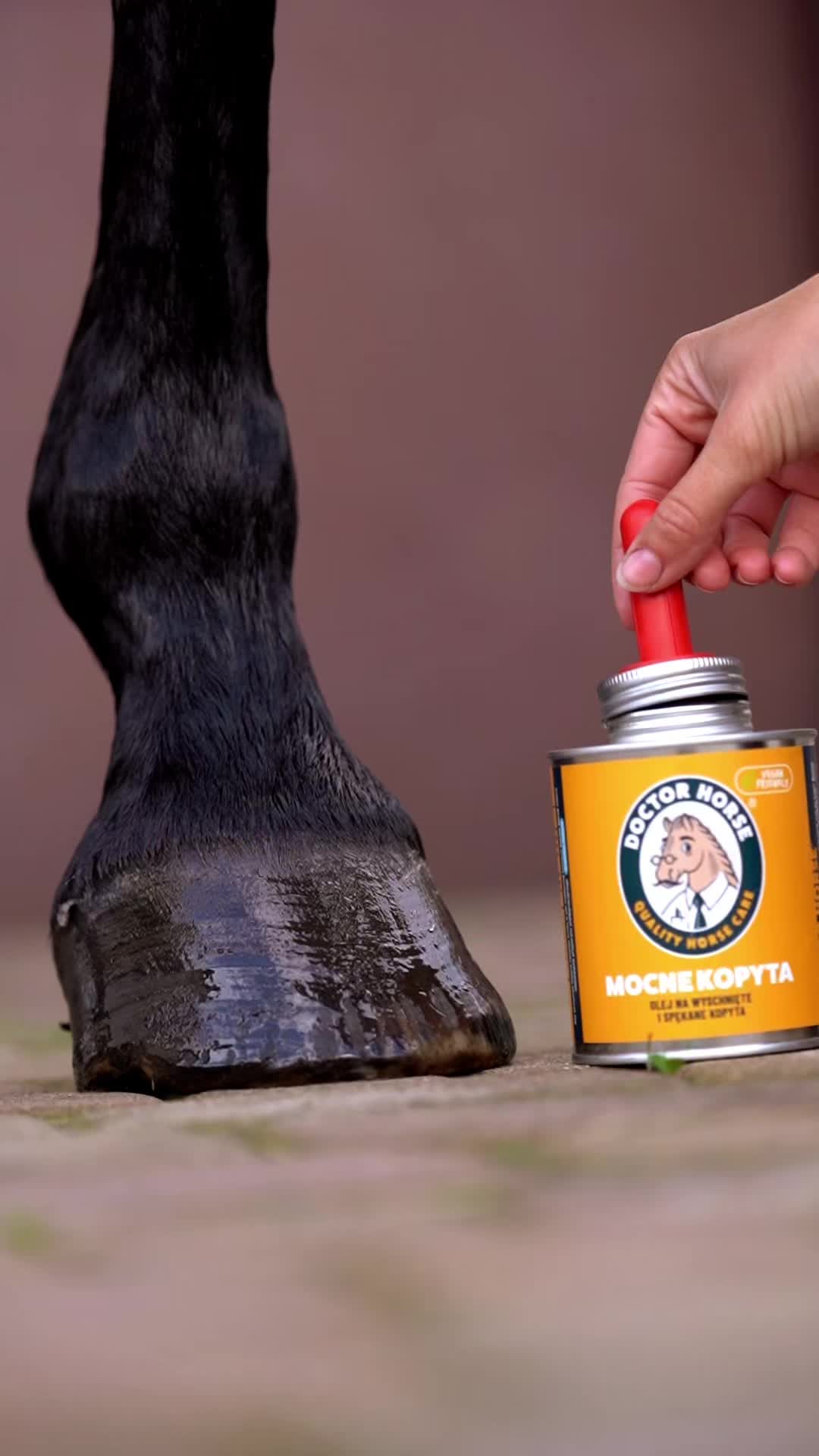 @Doctor Horse