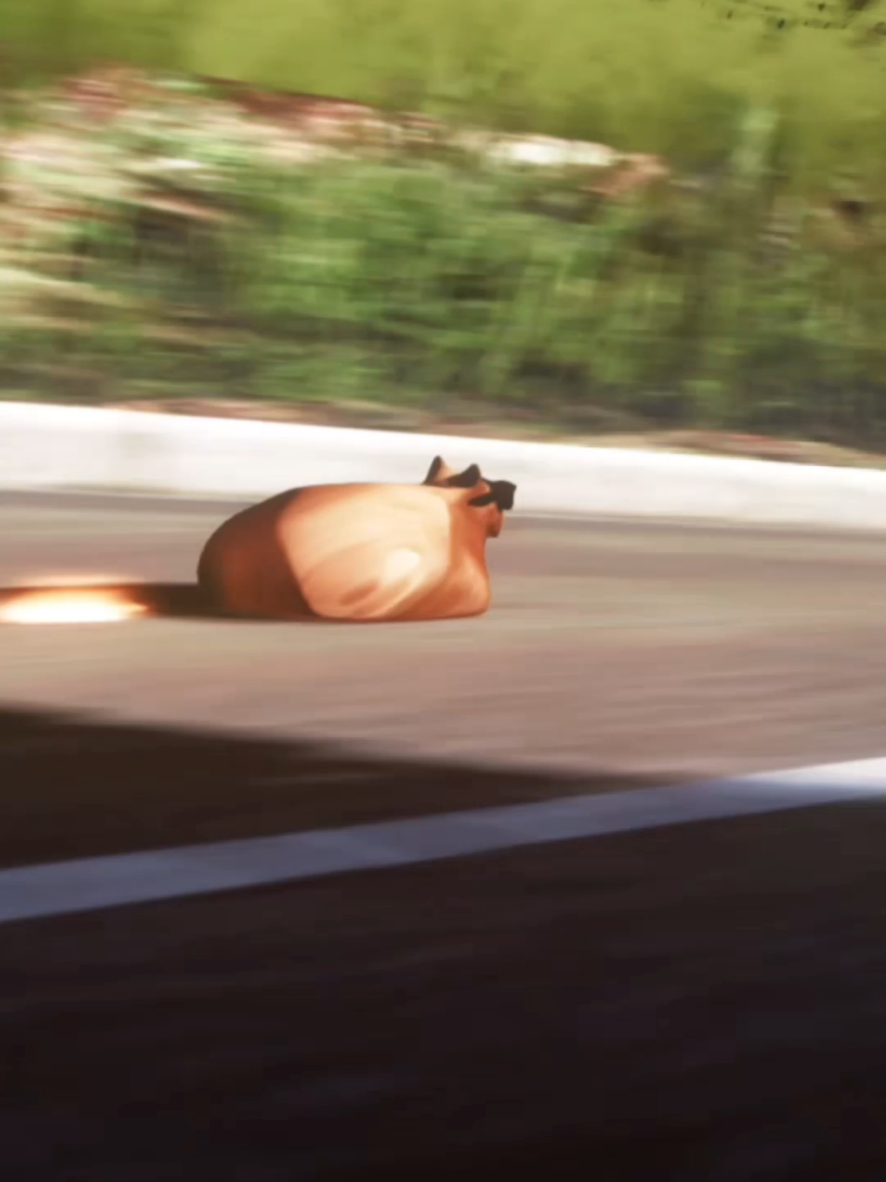 @Pablo the Race Cat