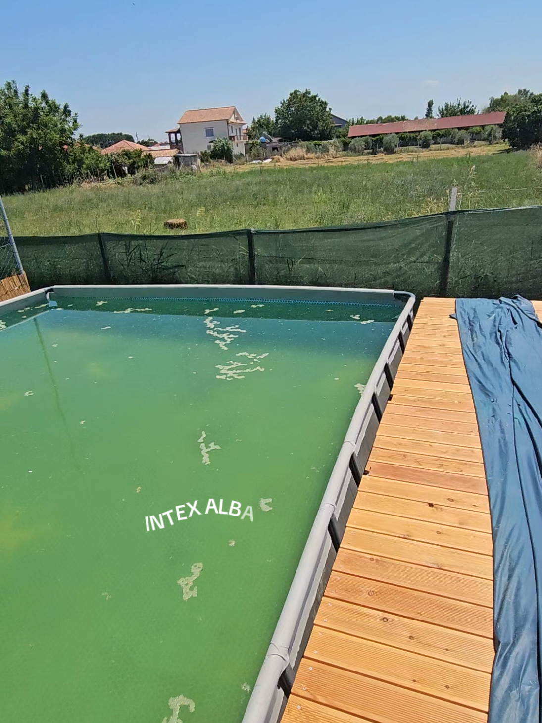 @intex albania
