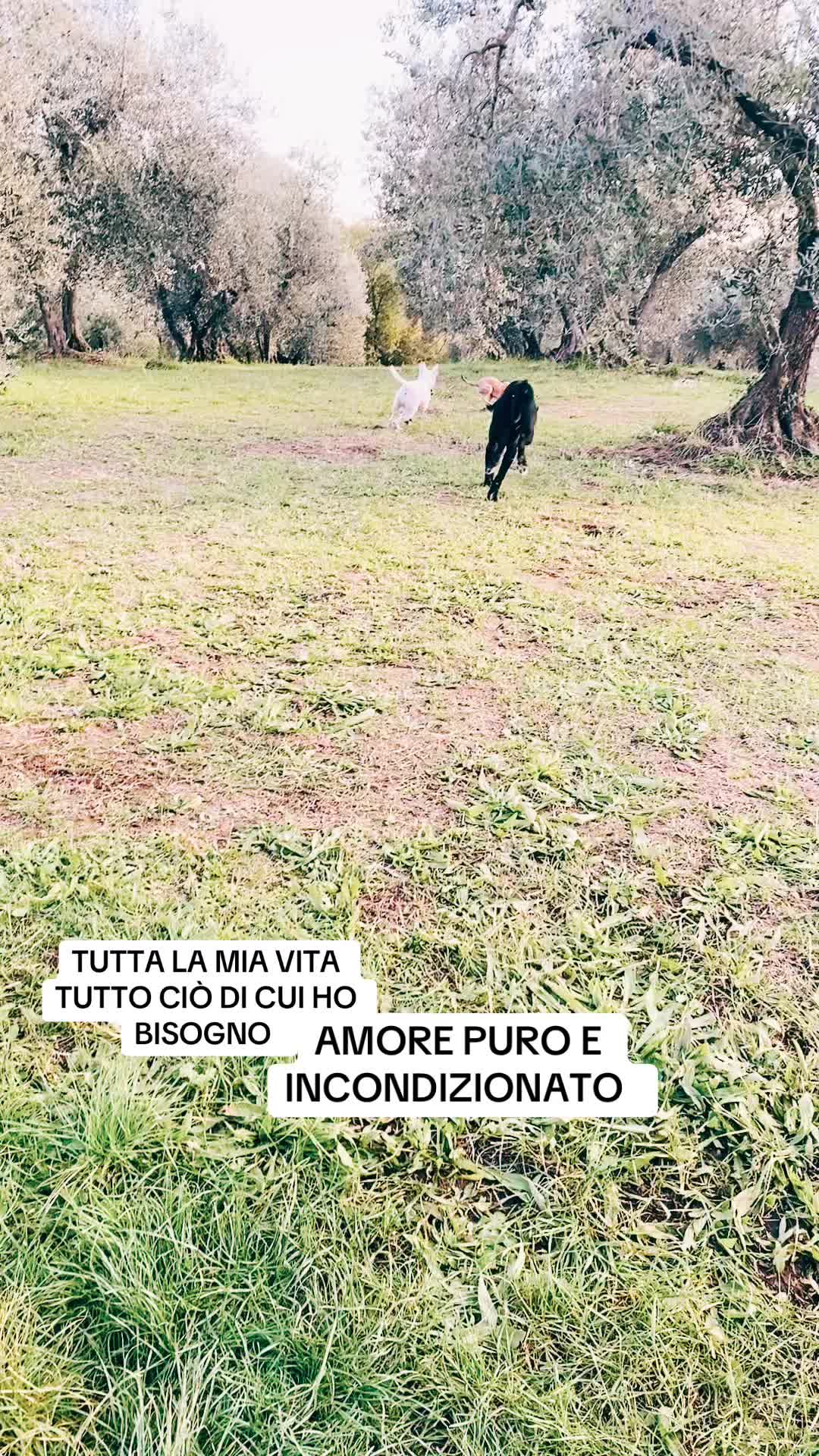 @Ilaria Urbani