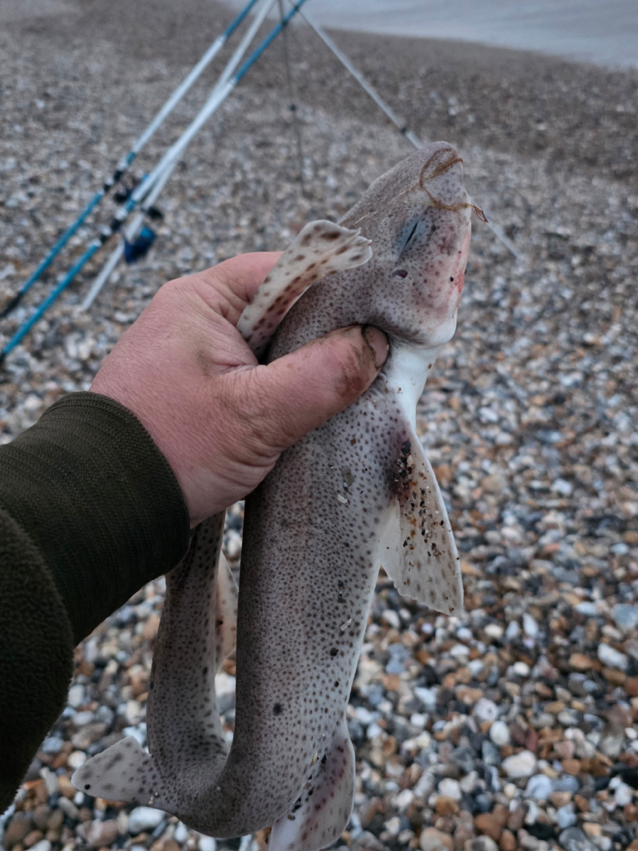 @🎣 Lee Preston 🎣