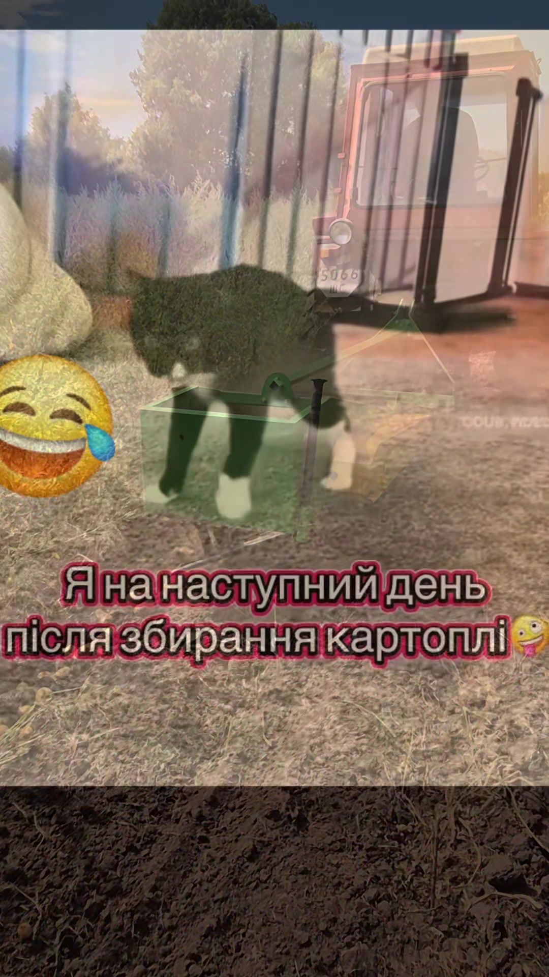 @papa_v_teme