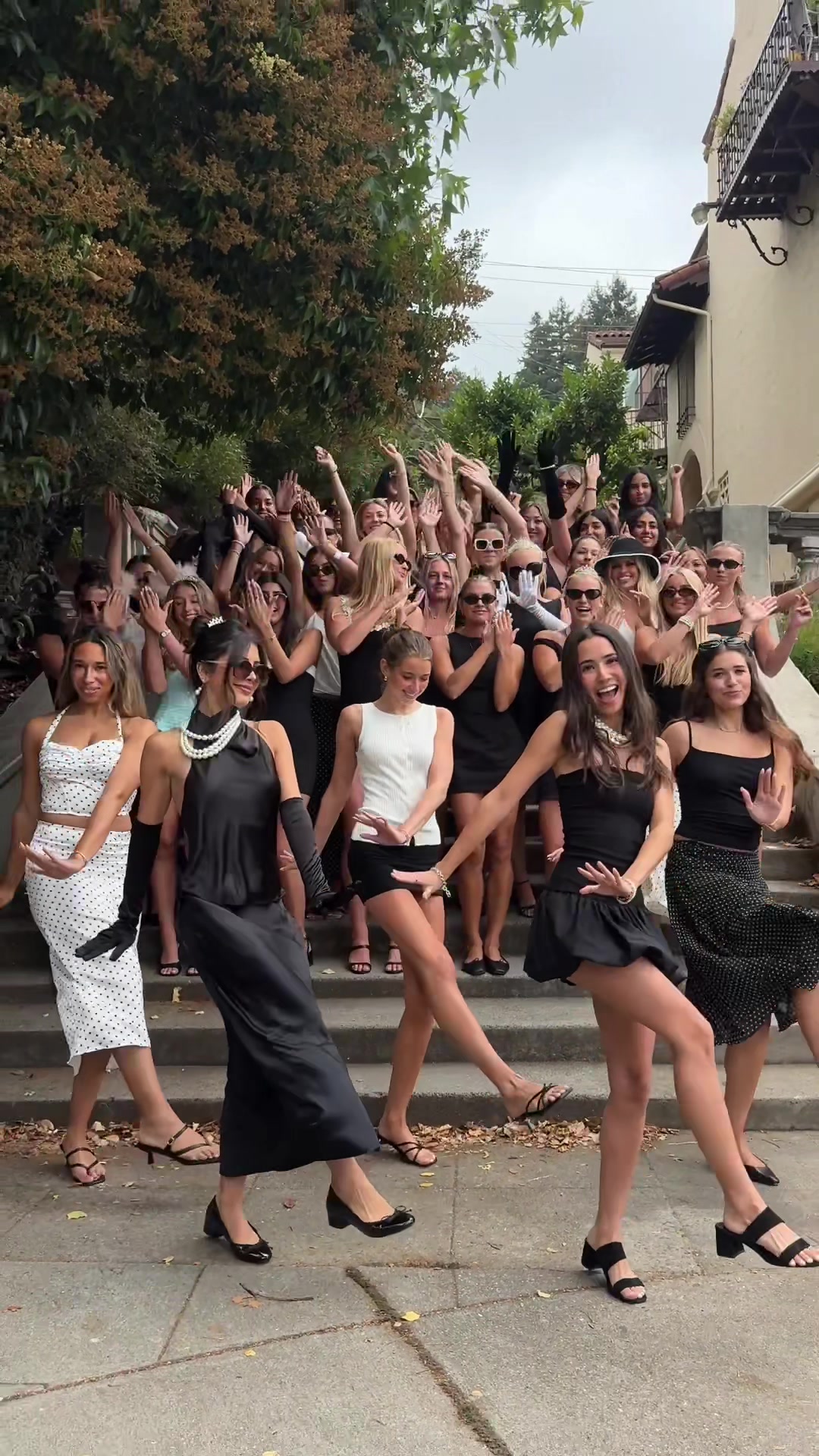 @CAL ALPHA PHI