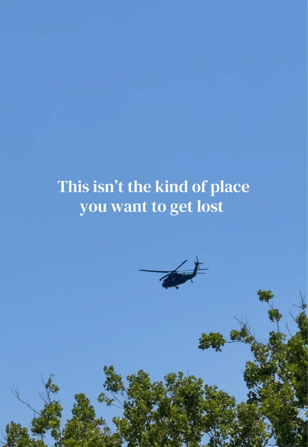 @Liz Cooper🦋