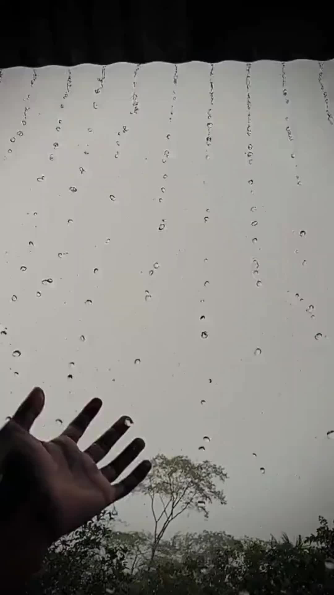 @ᗩαѕυ Ɩуяιcѕ ..