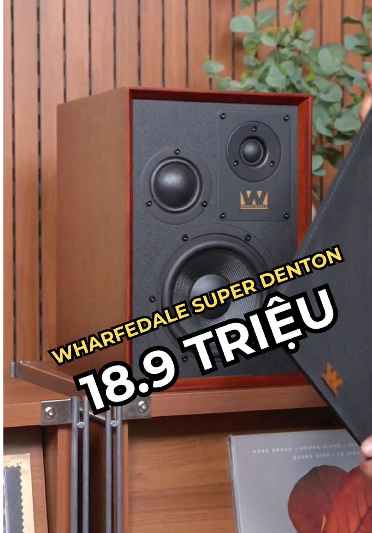 @D&aacute;t V&agrave;ng M&agrave;ng Nhĩ 🎼