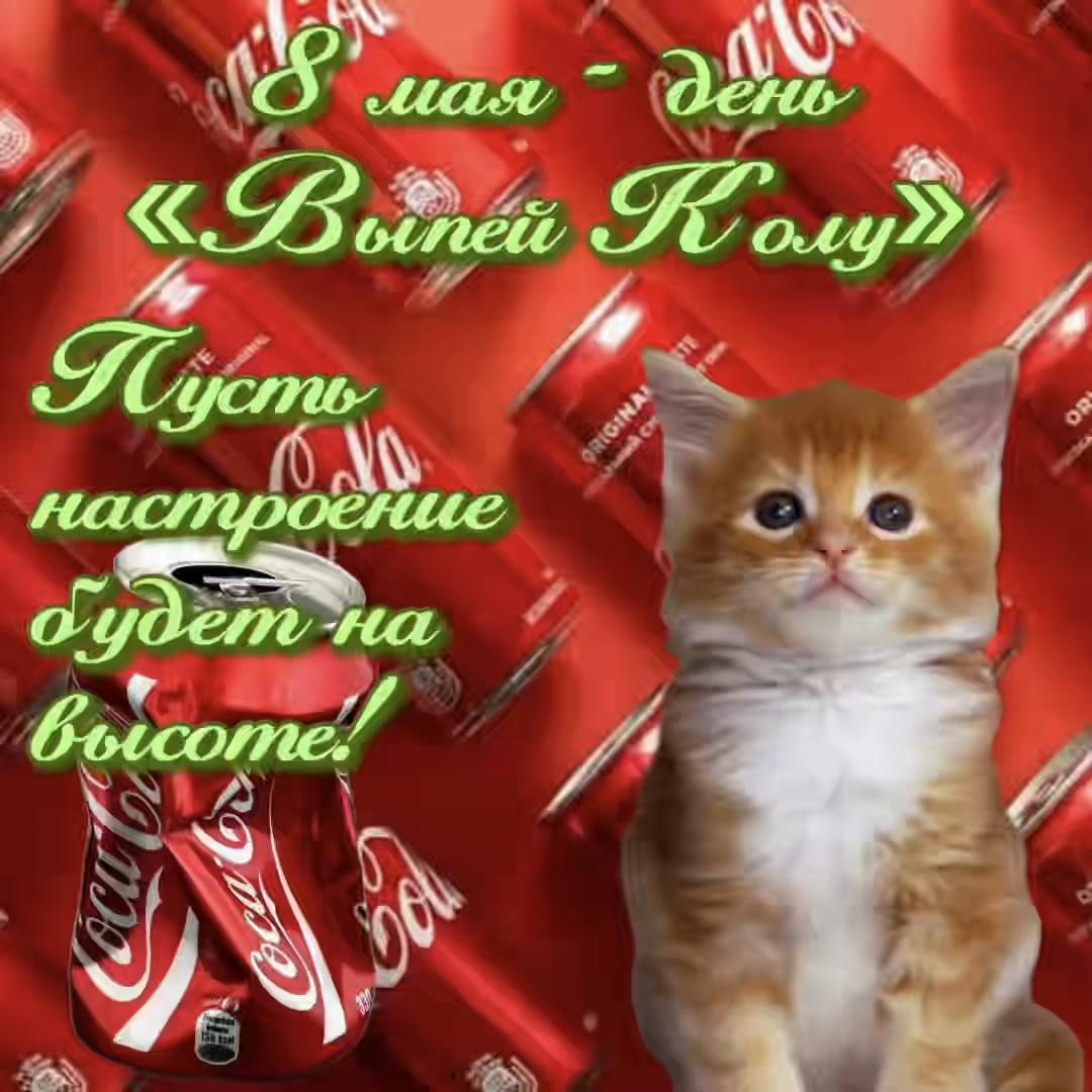 @котики на каждый день