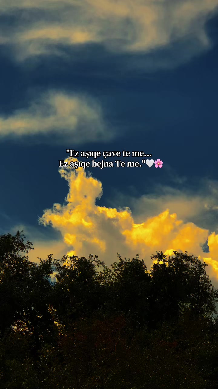 @𝑩ü𝒏𝒚𝒂𝒎𝒊𝒏⚡️