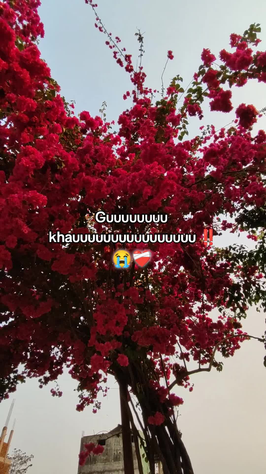 @Yourssaneyyyyyy__
