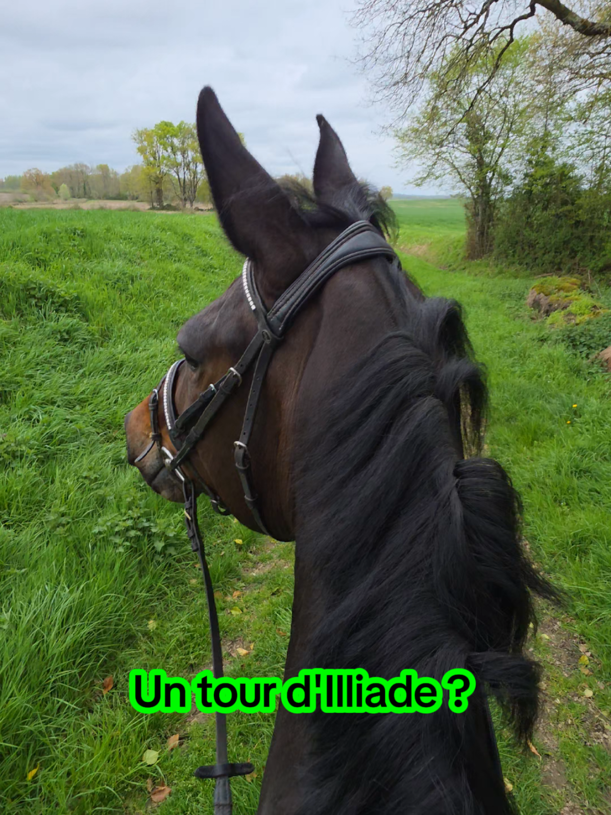 @axelle_pitch