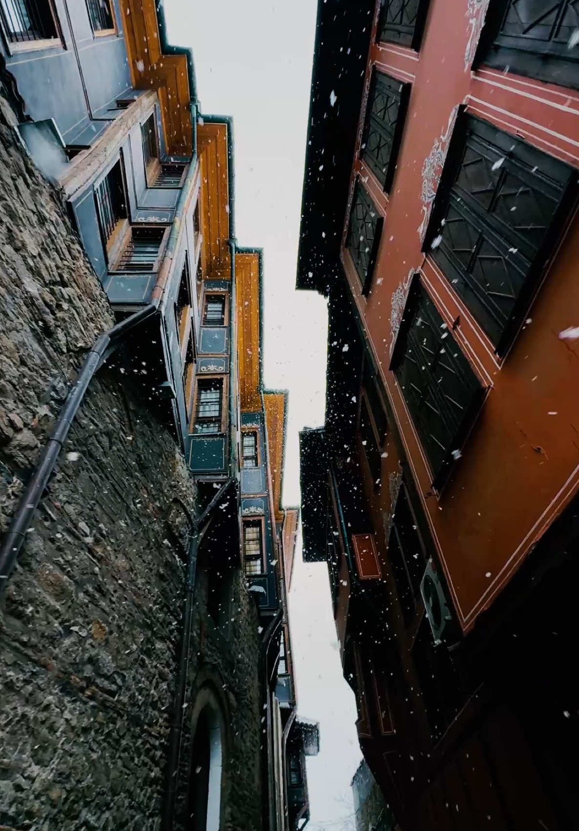 @lyonvisuals