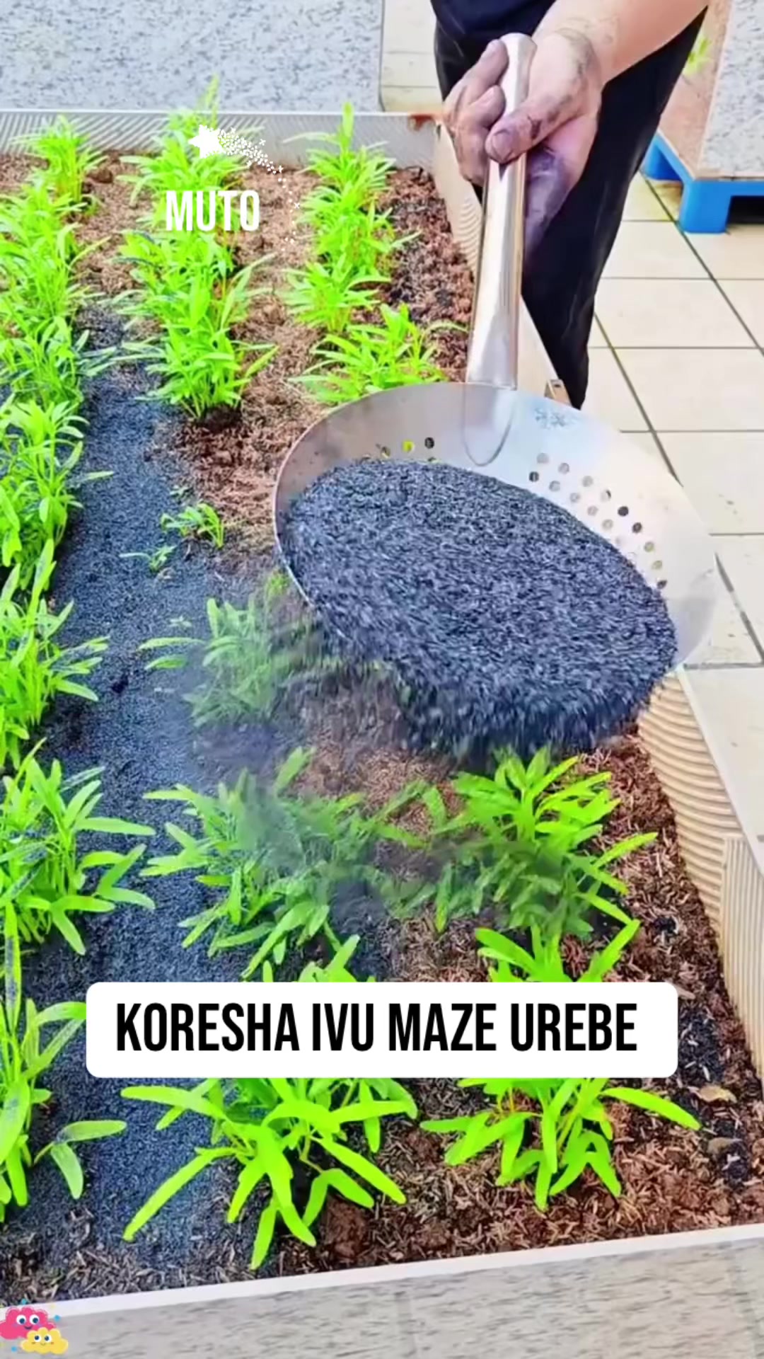 @MUTO
