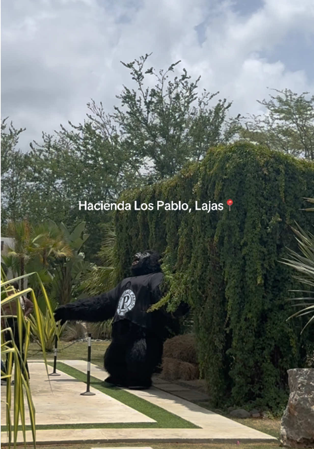 @Pamela Cristina