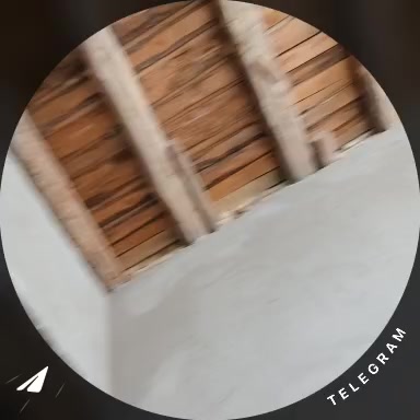 @hadichа