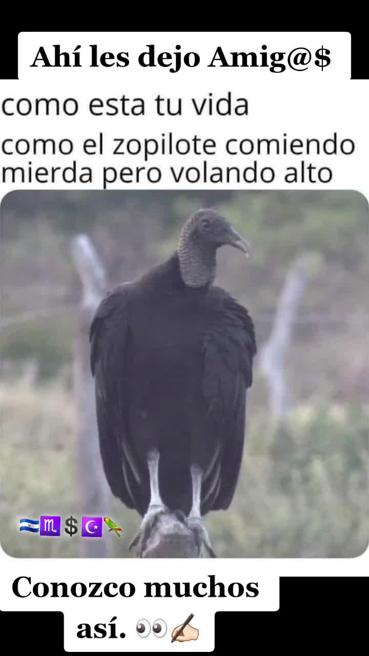 @montoyacharley