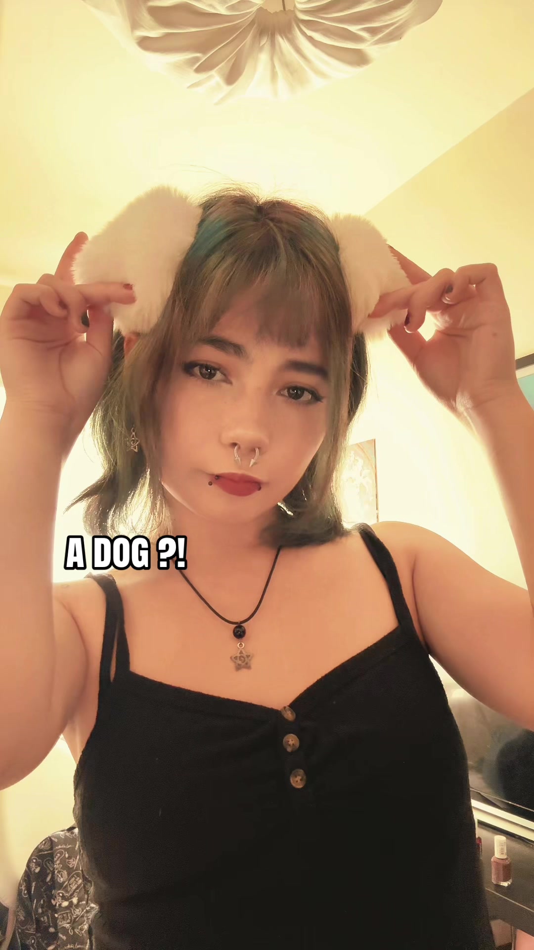 @em 🦊🐾