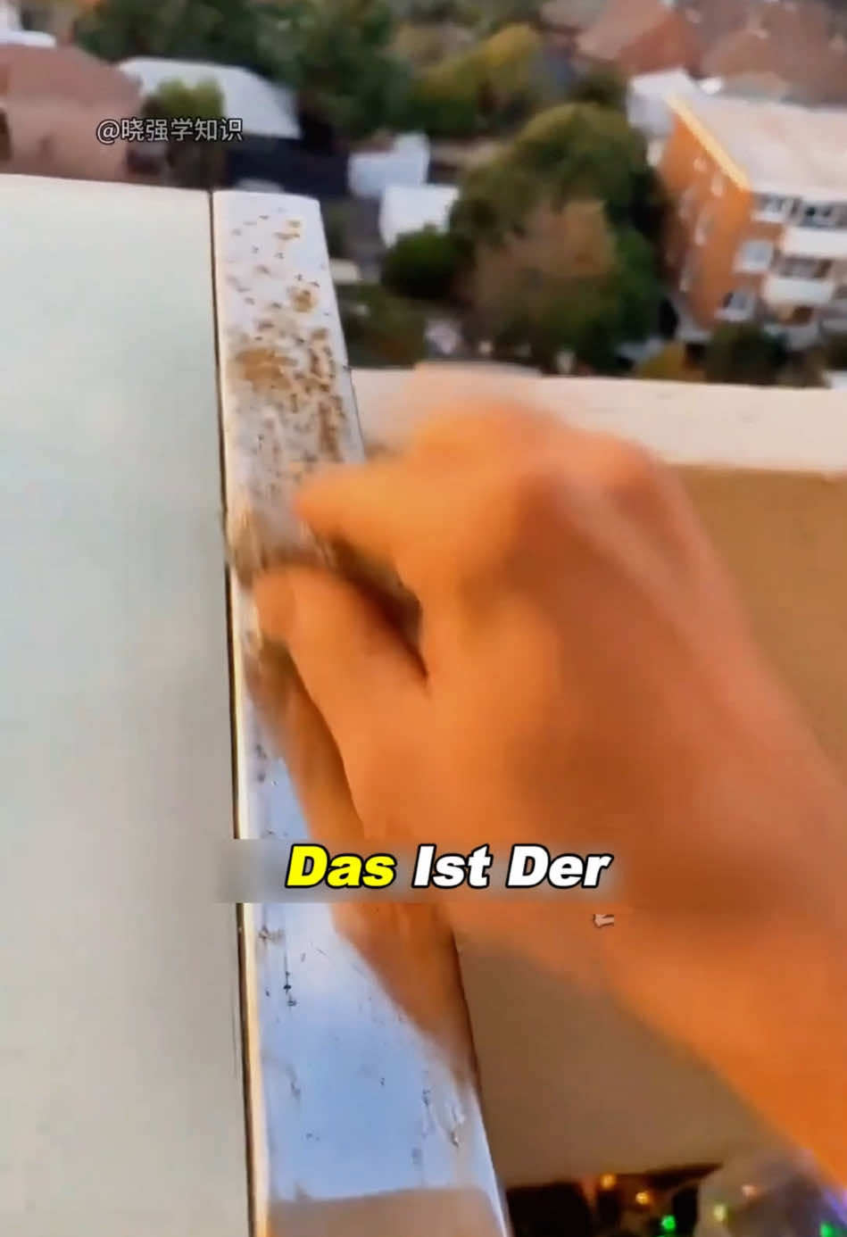 @Entdeckung und Erkundung
