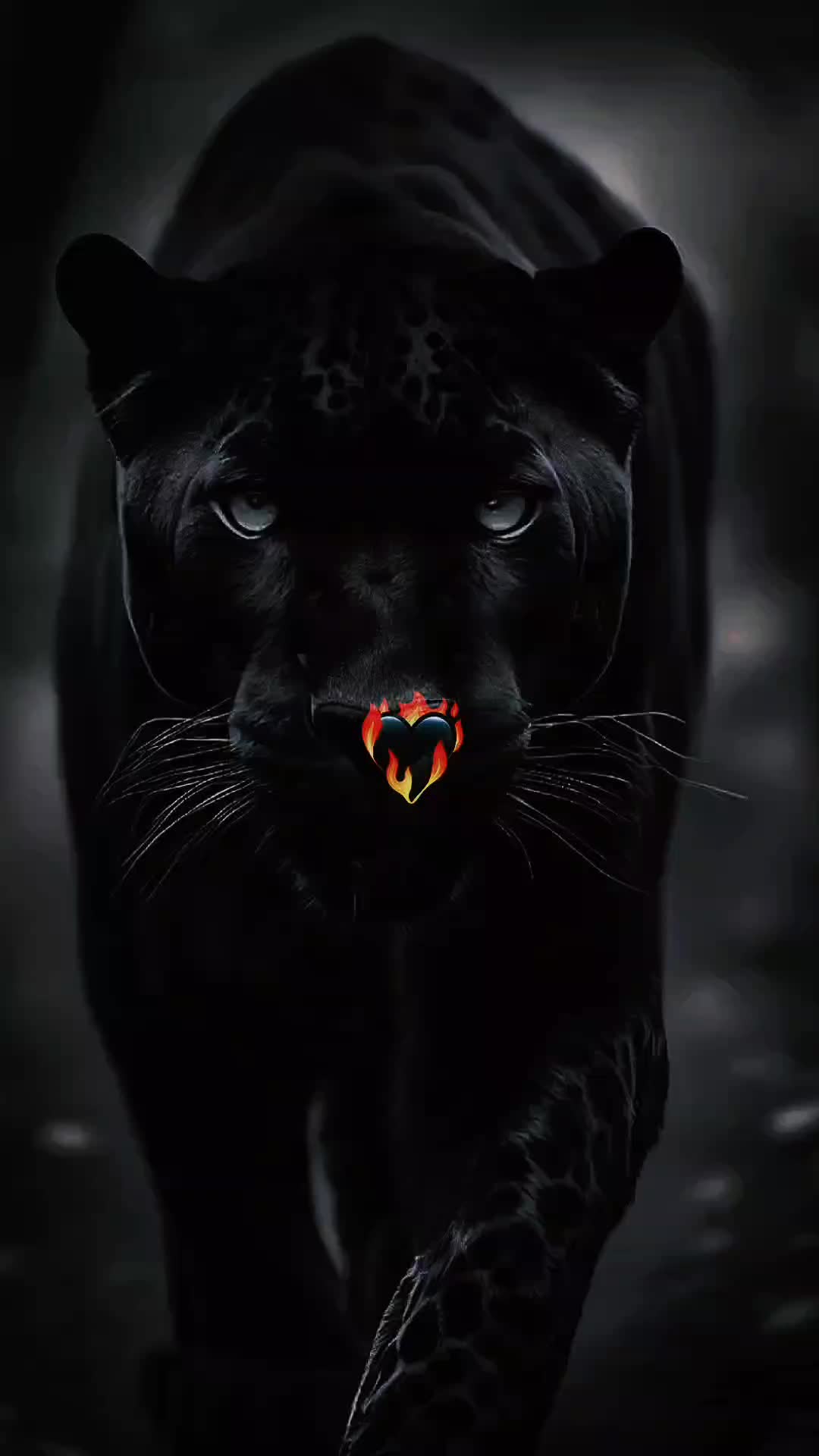@🦋𝔇's𝖔ldc𝔢̈𝖘𝖘🌹