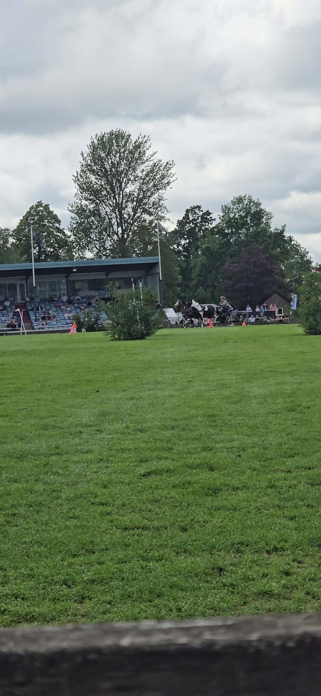 @Dark Lilly