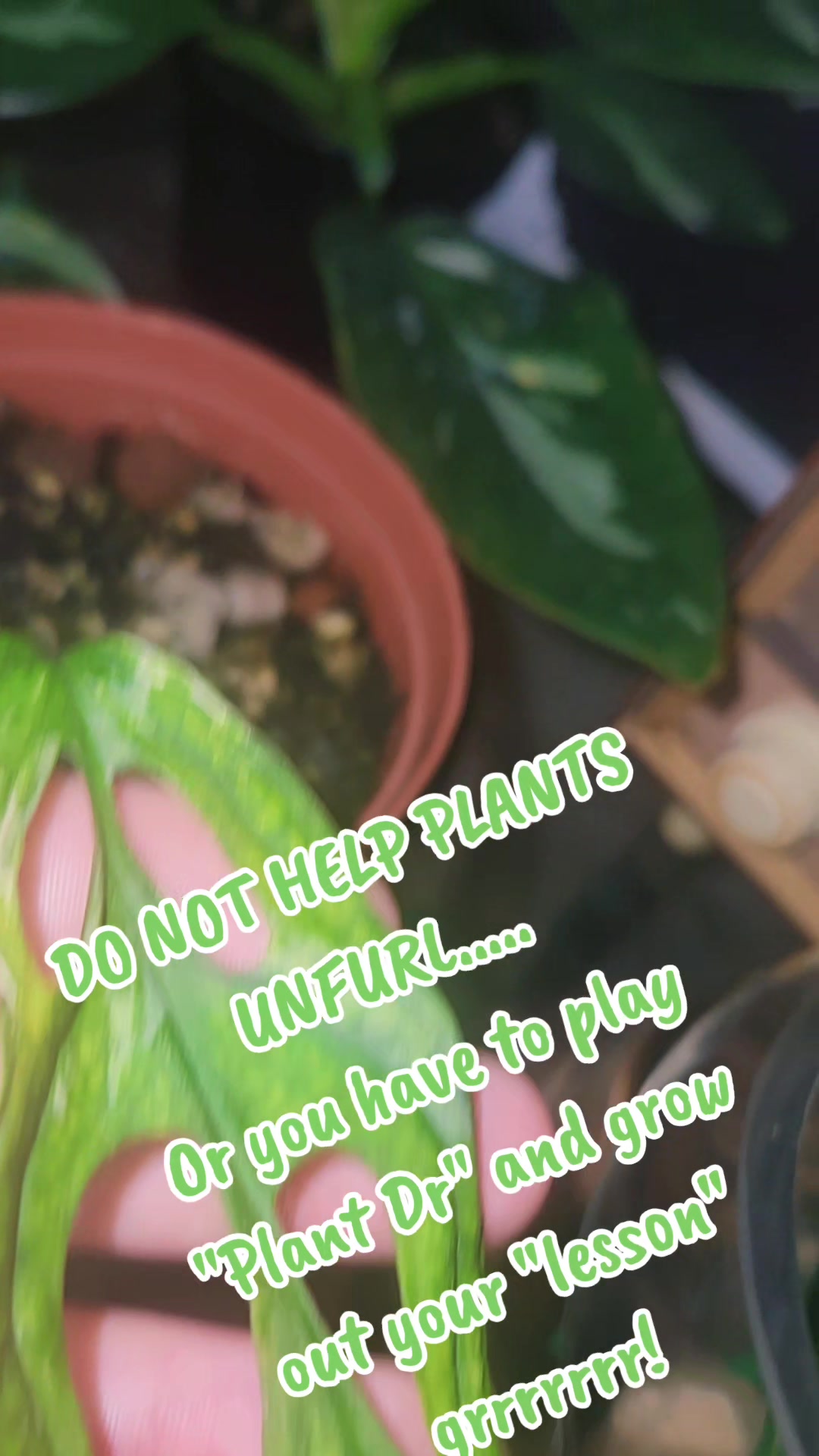 @Plants&Parks