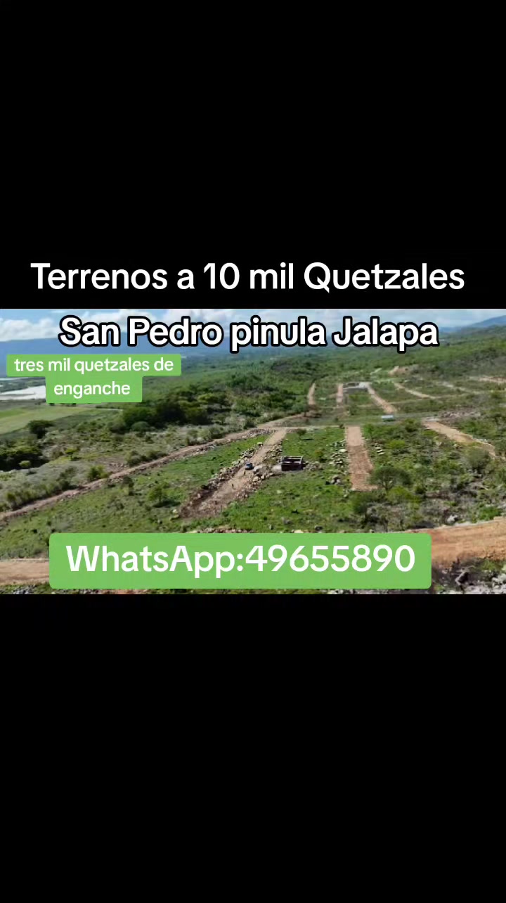 @Mario López asesor