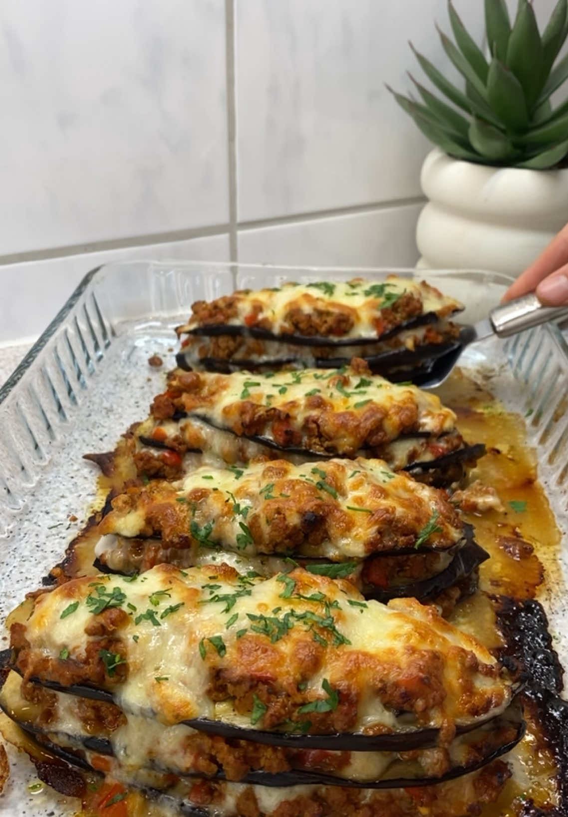 @Haleza_food