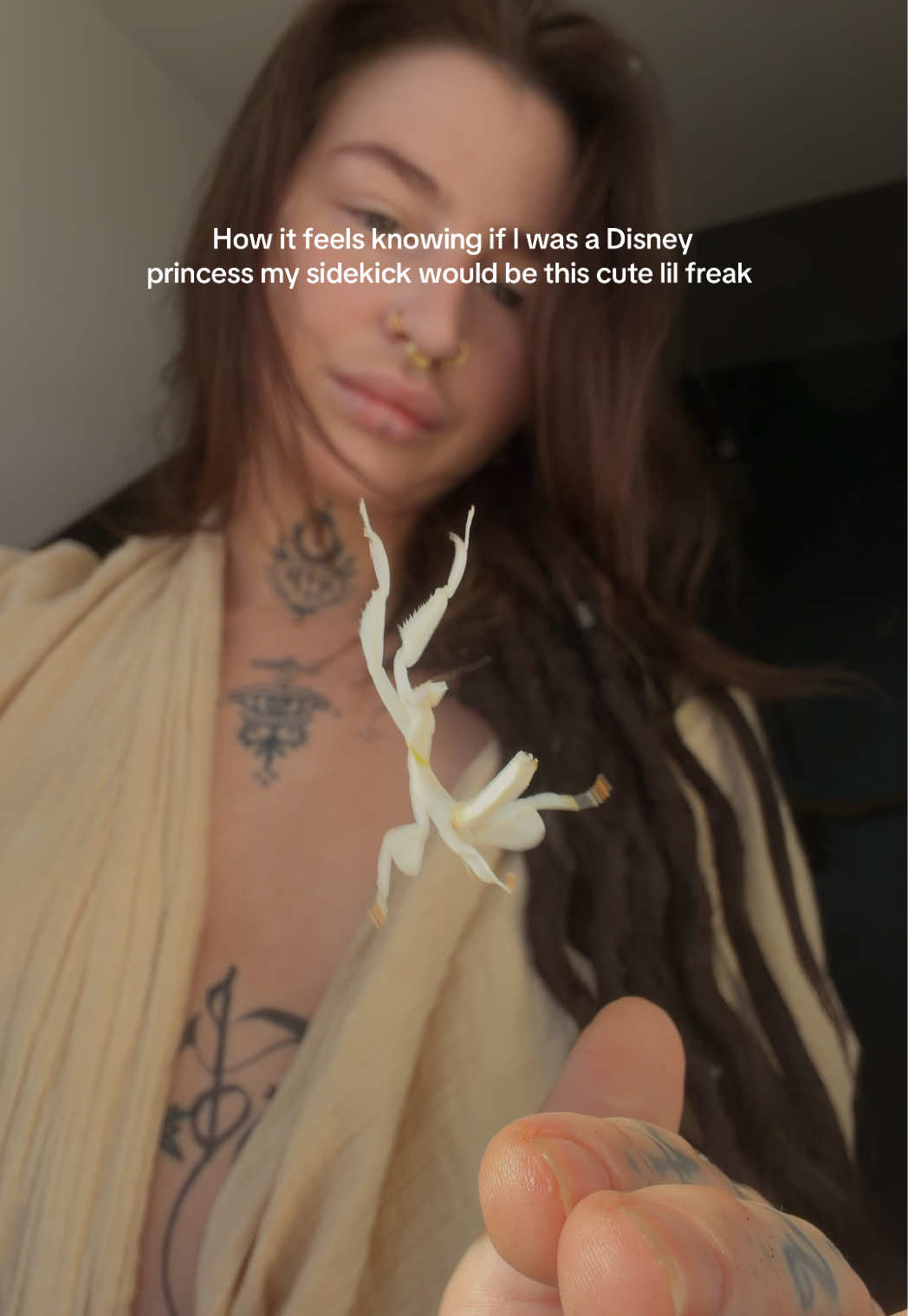 @swamp.imp