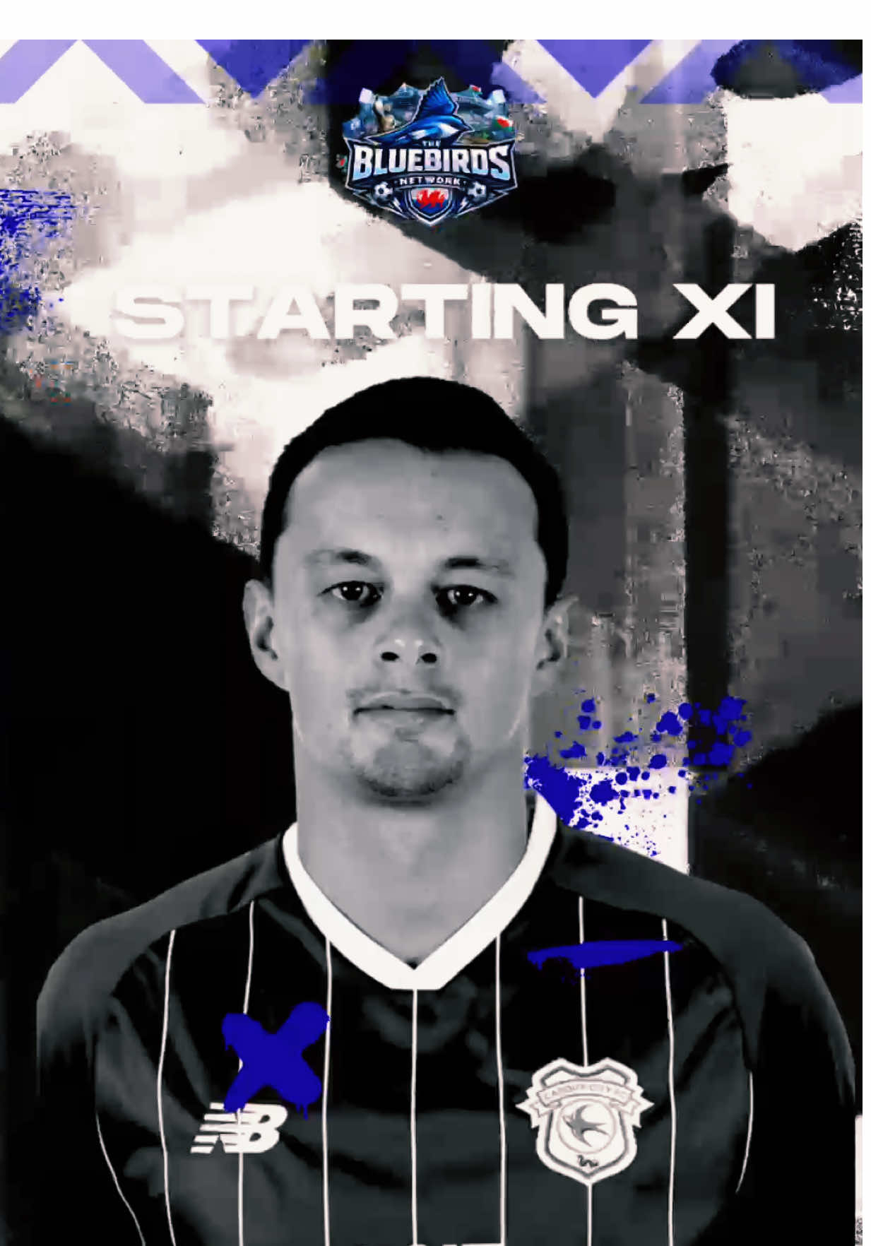 @The Bluebirds Network