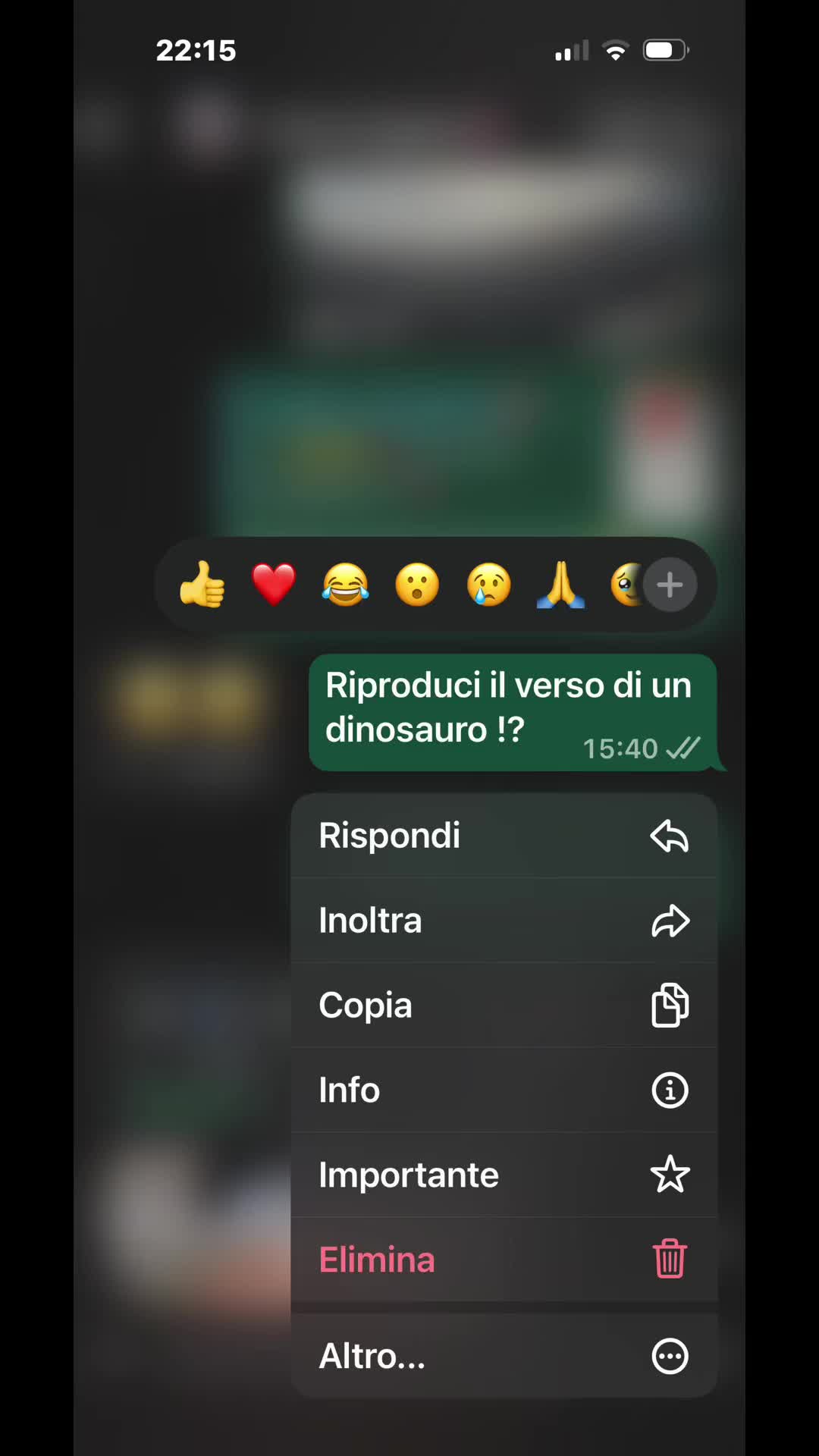 @Lisa LaGioia