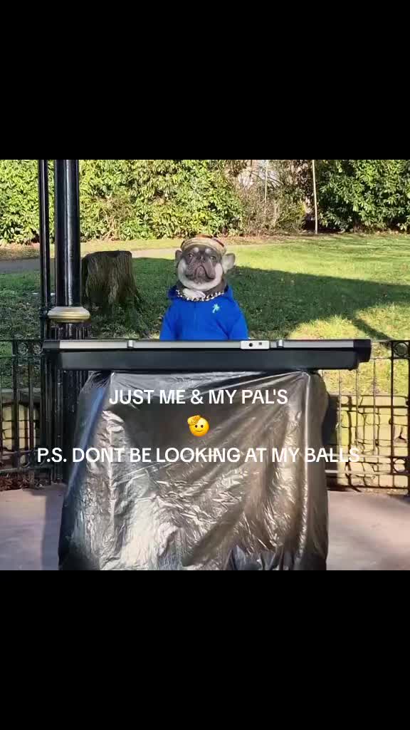 @Paddythefrenchie