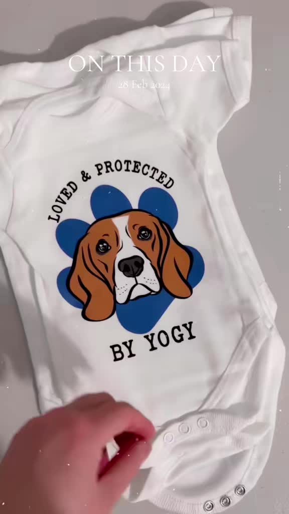 @Digi Doggo