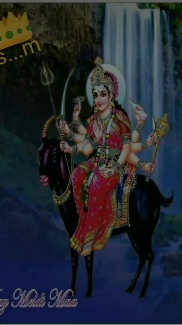 @$  Nik's thakor $