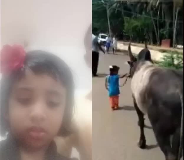 @niyaskhan