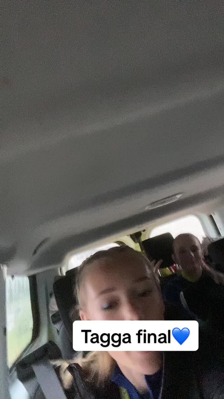 @Borl&auml;ngeTrupp 1