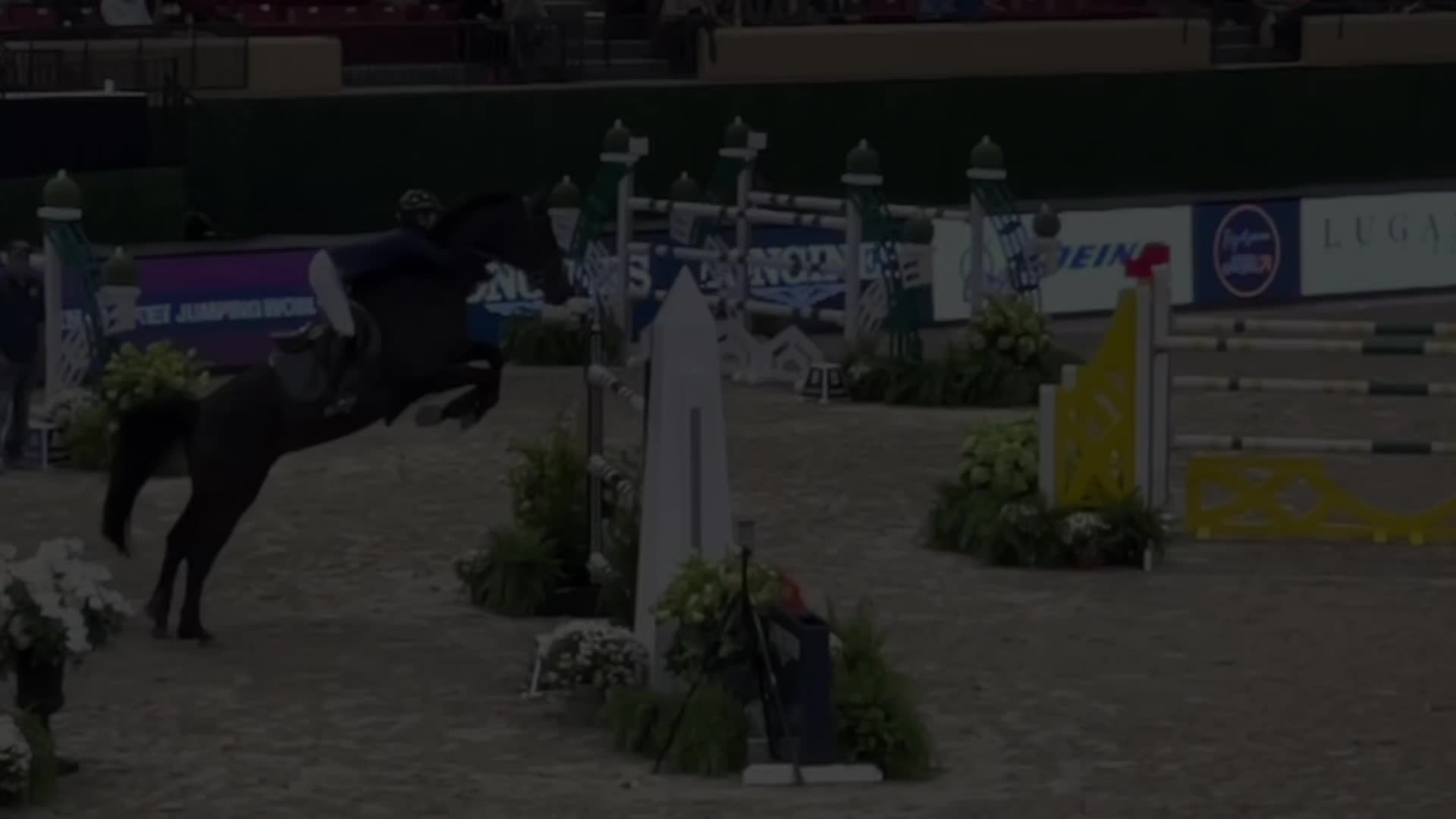 @Equestrian 🐴🐎