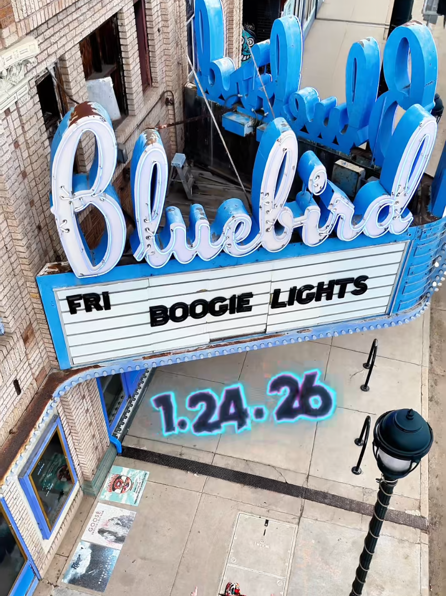 @Boogie Lights