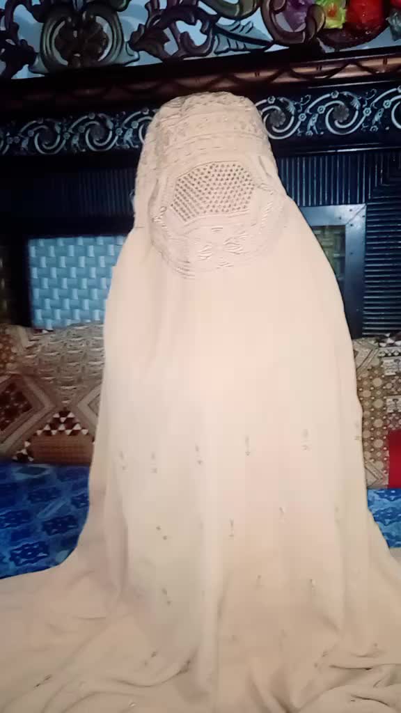 @Gull Rehman320
